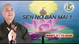 Sen Nở Ban Mai 1 - Thầy Thích Pháp Hòa (Tv Trúc Lâm, Ngày 01.12.2020)