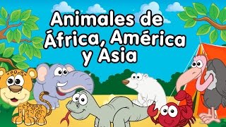 Canción de los animales de África, América y Asia - Doremila
