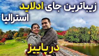 Adelaide Mount Lofty Botanic Garden زیباترین باغ ادلاید استرالیا در پاییز