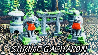 JAPAN'S GACHAPON | Grow moss in the SHRINE | Miniature figurines \