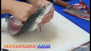 The Process of Deboning a Bangus (Milkfish) by Seafoodaholic