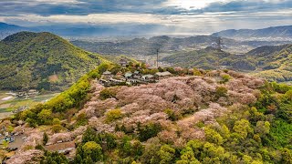 朝日山森林公園