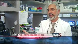 Boise State professor invents DNA tool to prevent contamination