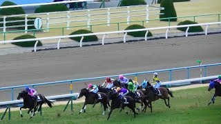 現地映像、メイショウテッコン（武豊）が梅花賞を逃げ切り勝利。京都競馬場