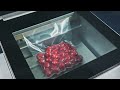 Hualian Vacuum Packaging Machine For Food