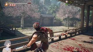 【NINJA GAIDEN 2 Black】高画質であの忍者ゲーをやってみたい！VERY HARD #1