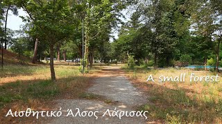 Αισθητικό Άλσος Λάρισας - A small forest near the city