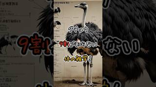 ダチョウ、９割が知らない体の雑学！ #動物 #雑学 #3選シリーズ #おもしろ #animals #豆知識