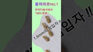 책벌레? 먼지다듬이? 어떻게 퇴치해야 할까요? #방역  #먼지다듬이 #해충