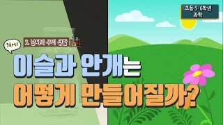 [초등 과학 5-2] 3. 날씨와 우리 생활 - 3차시 이슬과 안개는 어떻게 만들어질까요?