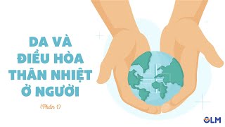 Da và điều hoà thân nhiệt ở người (phần 1) - Khoa học tự nhiên 8 - OLM.VN