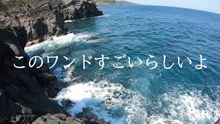 【東伊豆】このワンドの潜在能力を調査せよ【二又】