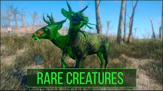 Fallout 4: 5 Rare and Interesting Creature Types You May Have Missed - Fallout 4 Secrets (Part 3)