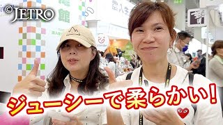 【活気がみなぎる台湾食品市場！】今 求められている日本食品とは？