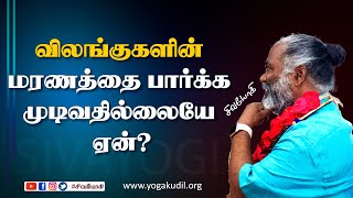 விலங்குகளின் மரணத்தை பார்க்க முடிவதில்லையே ஏன்?