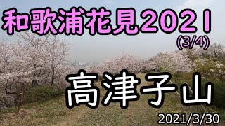 2021 和歌浦花見(3/4)　高津子山（章魚頭姿山）