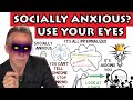 Jordan Peterson - Use your eyes to overcome social anxiety