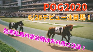 【POG2020】2歳新馬戦注目馬紹介（6/28）指名を最後まで迷った馬が登場！有力馬集う牡馬牝馬混合戦！【有力馬紹介】