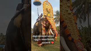 ഇനി അണിയാൻ ചമയങ്ങൾ ബാക്കി ഒന്നുമില്ല#shorts #aana #kerala #pooram2023 #aanapremi #aanakambam