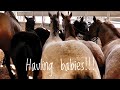 DELIVERING FOALS | BARREL RACING