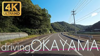 【4K】Driving Japan Okayama 岡山県美作市鯰～真庭市下河内ドライブ（Insta360AcePro）