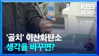 [글로벌K] 탄소 배출, 언제까지 줄이기만? 日 연구팀의 발상 전환 / KBS  2024.02.19.