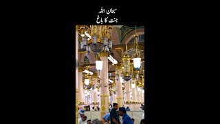 ریاض الجنۃ مسجد نبوی 🕌 صلی اللہ علیہ وسلم Riaz ul Jannah | Garden of Heaven| Masjid An Nabawi Madina