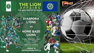 The Lion Affairs: Diaspora Lions Vs Home Base Lions