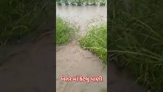 જૂવો ખેતર માં કેટલું બધું પાણી