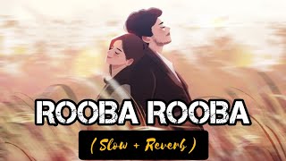 ROOBA ROOBA ( Slow + Reverb ) || #bahaddurali