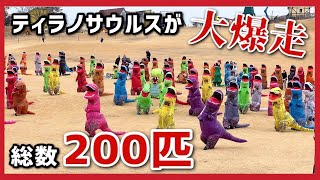 【総数200匹】ティラノサウルス達の本気バトルがシュールすぎる