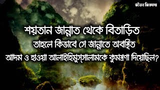 শয়তান জান্নাত থেকে বিতাড়িত তাহলে কিভাবে সে জান্নাতে অবস্থিত আদম ও হাওয়া আ: কে কুমন্ত্রণা দিয়েছিল?