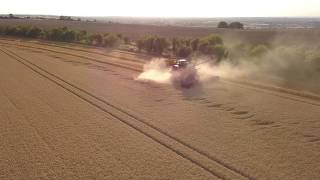 Ashbury Farms Harvest