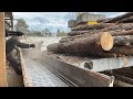 Zero Waste Woodworking Solutions in Sawmills.