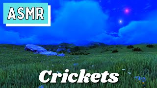 30 Minute Cricket Night Ambient Sounds, Summer Sounds at Night, Sleep and Relaxation Meditation