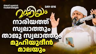 മദനീയം നാരിയത്ത് സ്വലാത്തും താജ് സ്വലാത്തും മുഹിയിദ്ദീൻ മാലയും | Madaneeyam - 816 | Latheef Saqafi