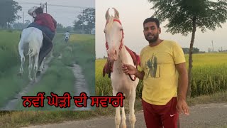 ਦੇਖੋ ਨਵੀਂ ਘੋੜੀ ਦੀ ਸਵਾਰੀ Enjoy Riding with Nukri Filly #beanttulewal #horselover #horseriding