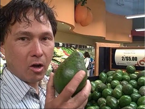 Top 5 Tips on How to Pick an Avocado Top 5 Tips on How to Pick an Avocado