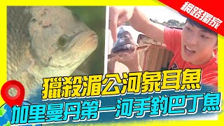 【世界海鮮展】獵殺湄公河象耳魚 加里曼丹第一河手釣巴丁魚｜《世界第一等》濃縮精華版 #世界該去哪