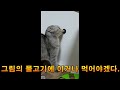 효과음으로 톡톡 튀는 영상 만들기