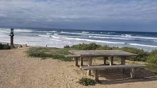 The Morning Walk | Ocean Grove Victoria