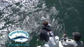 Boston Sportfishing Striped Bass Intro