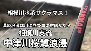 【サクラマス】相模川水系中津川サクラマス浪漫