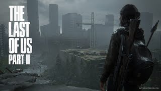 サバイバルホラーアクションアドベンチャー#１７【The Last of Us PartⅡ】ラスアス