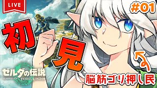 🟢【完全初見TotK - #01】脳筋ゴリ押しでいくティアキン実況💪💪【ゼルダの伝説 ティアーズオブザキングダム】