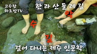 하르방TV 제90회 한라산둘레길 수악길을 걷다.