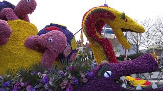 Bloemencorso Bollenstreek 2019