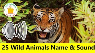 25 WILD ANIMALS Name \u0026 Sounds |Realtime Animals Video|Animals for kids|Tamilarasi English Vocabulary