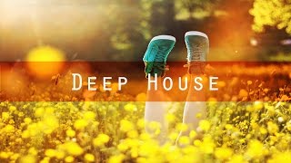 Disco Fries - Somebody Told Me ft. Chrissy Quadros [Deep House I Liftoff Recordings]