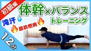 初級編【12分】体幹とバランスを鍛えるコアトレーニング12種目 / 12MIN CORE STRENGTH \u0026 BALANCE WORKOUT 12Exercise【BEGINNER LEVEL】